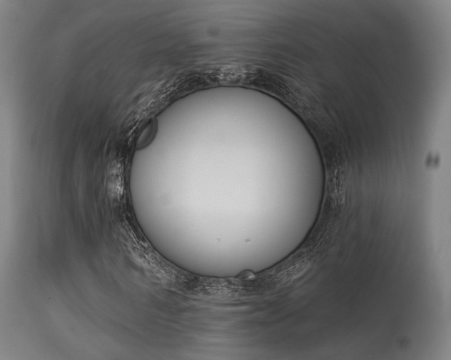 X0000113360962200909221155