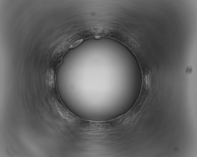 X0000113360963200909221155