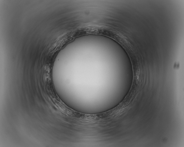 X0000113360964200909221155