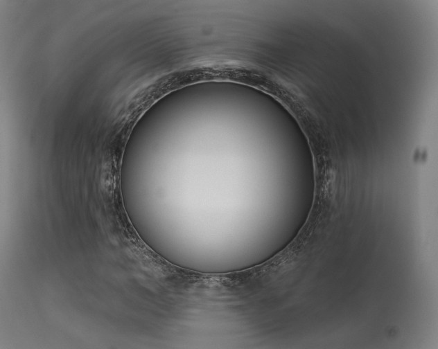 X0000113360966200909221155