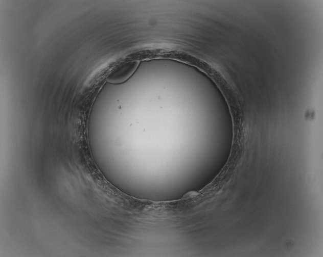 X0000113360967200909221155