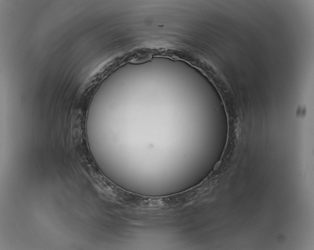 X0000113360968200909221155