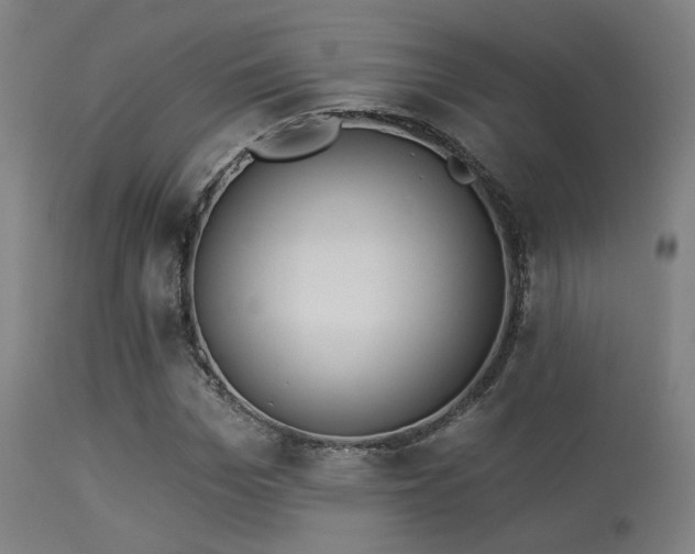 X0000113360969200909221155