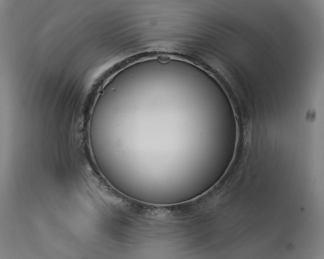 X0000113360971200909221155