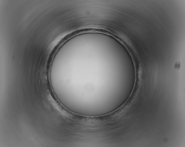 X0000113360972200909221155