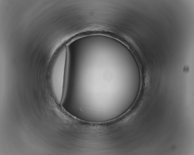 X0000113360973200909221155