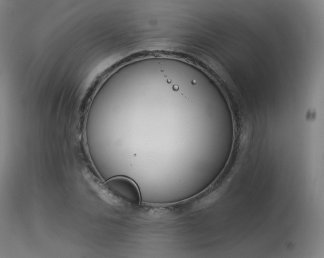 X0000113360974200909221155