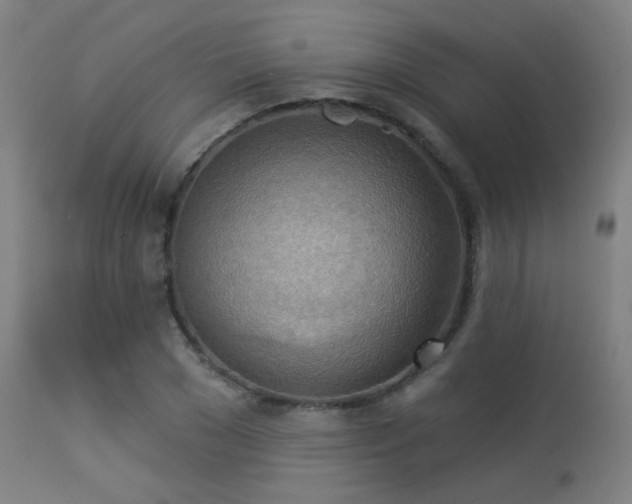 X0000113360977200909221155