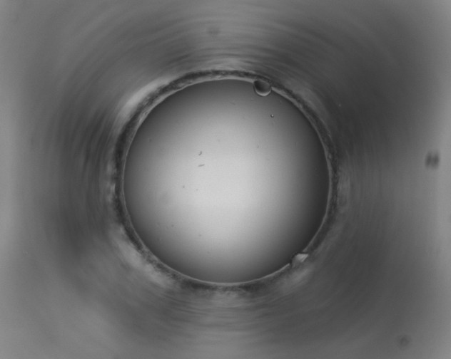 X0000113360979200909221155