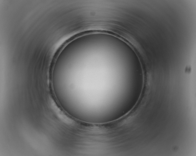 X0000113360980200909221155