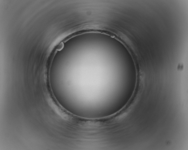 X0000113360981200909221155