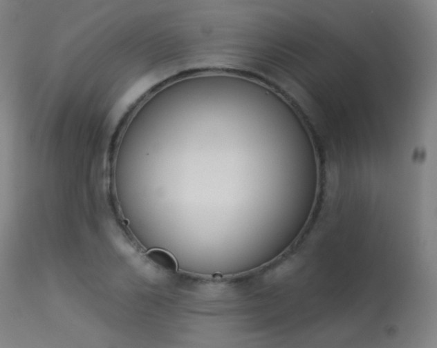 X0000113360982200909221155
