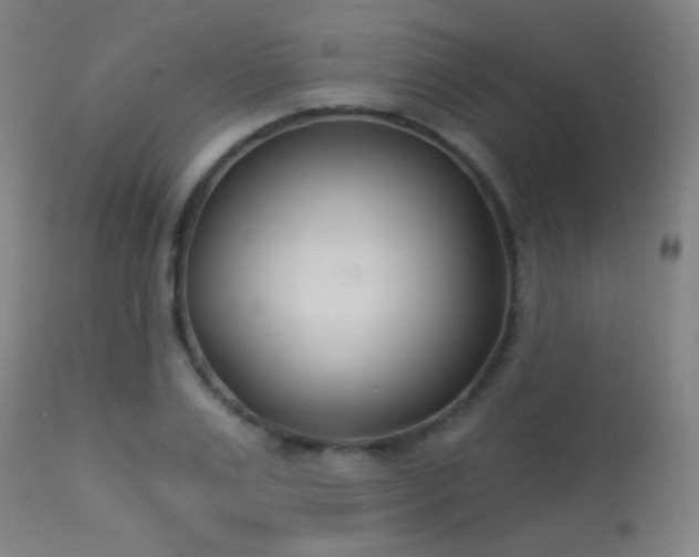 X0000113360983200909221155