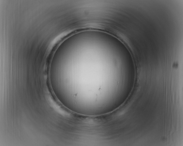 X0000113360987200909221155