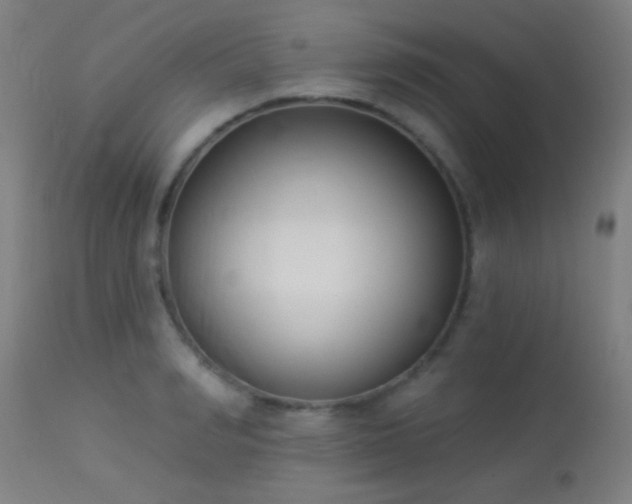X0000113360990200909221155