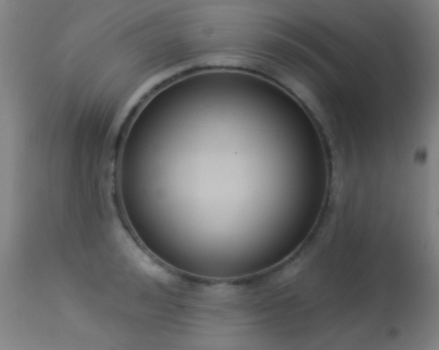 X0000113360992200909221155