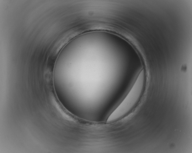 X0000113360993200909221155