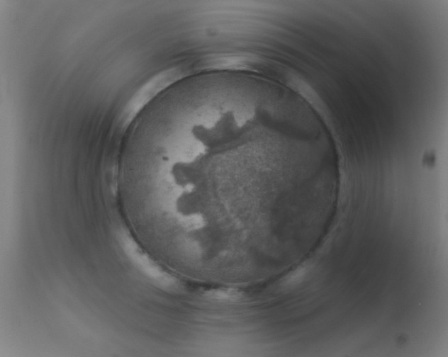 X0000113360994200909221155