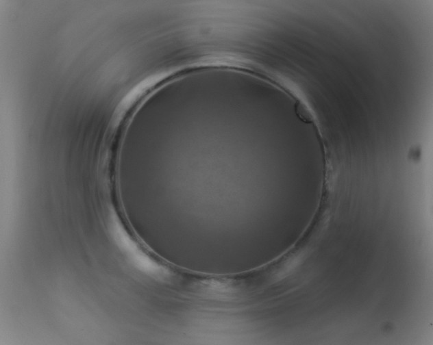 X0000113360995200909221155