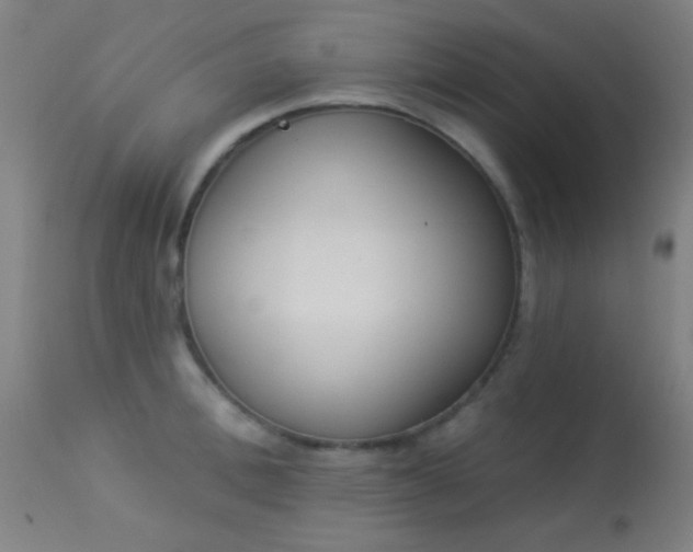 X0000113360996200909221155