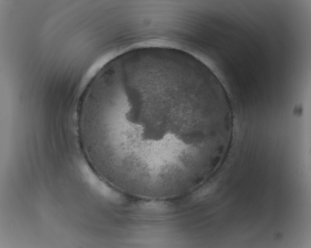 X0000113360998200909221155