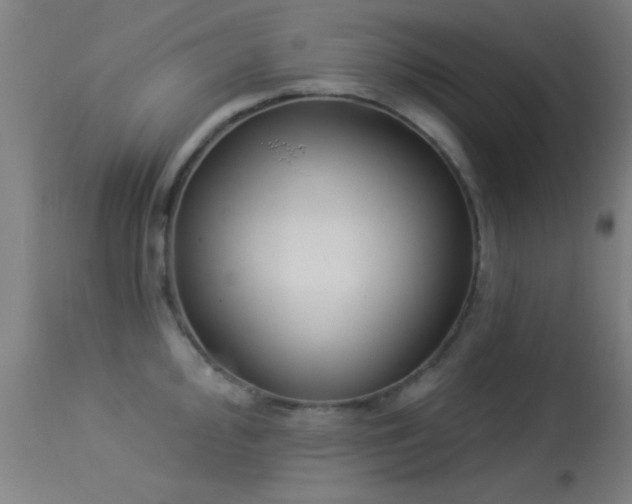 X0000113361000200909221155