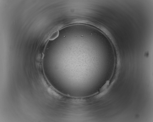 X0000113361001200909221155