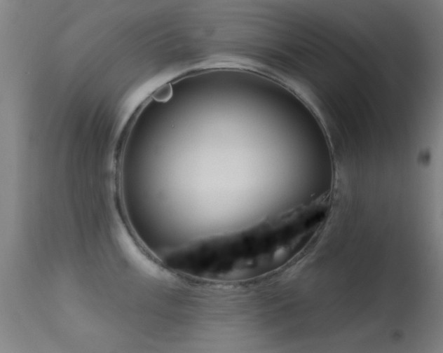 X0000113361003200909221155