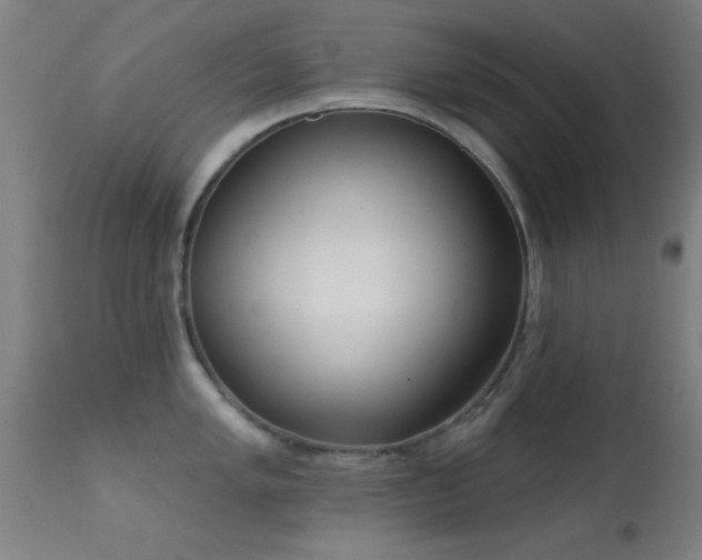 X0000113361005200909221155