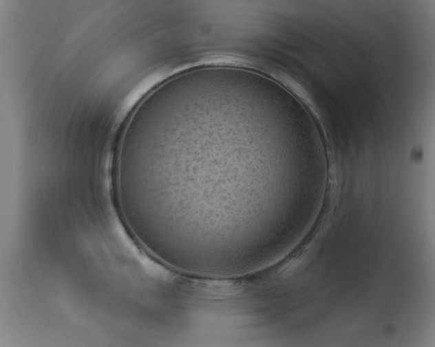 X0000113361007200909221154