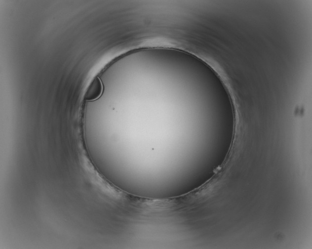 X0000113361008200909221154