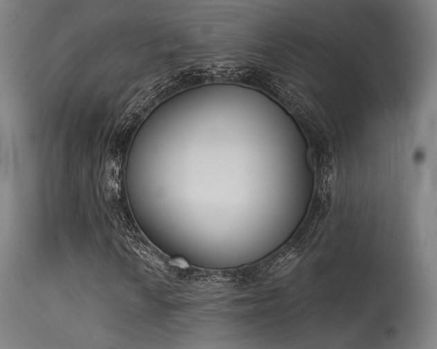 X0000113361010200909221154