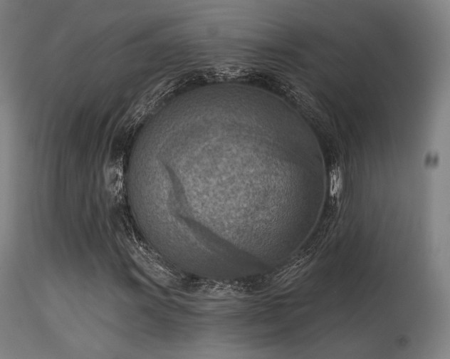 X0000113361011200909221154