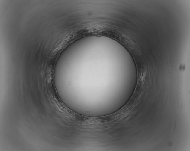 X0000113361012200909221154