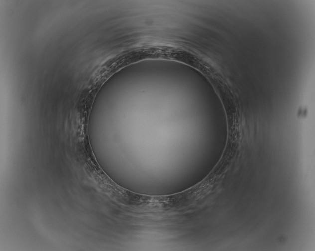 X0000113361013200909221154