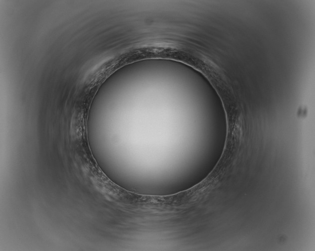 X0000113361014200909221154