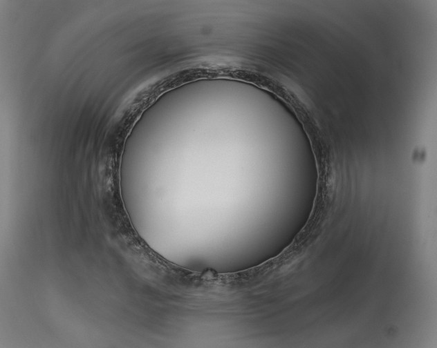 X0000113361016200909221154
