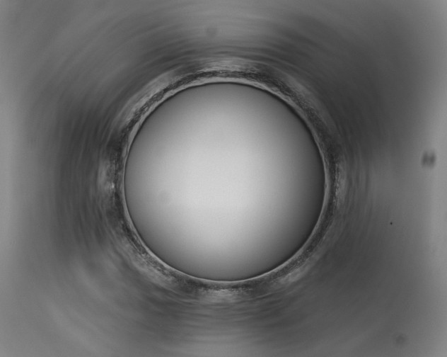 X0000113361017200909221154