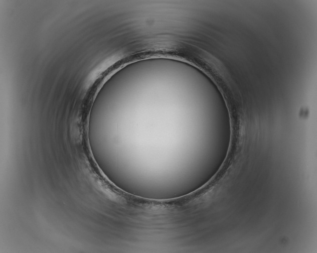 X0000113361018200909221154