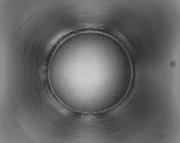X0000113361019200909221154