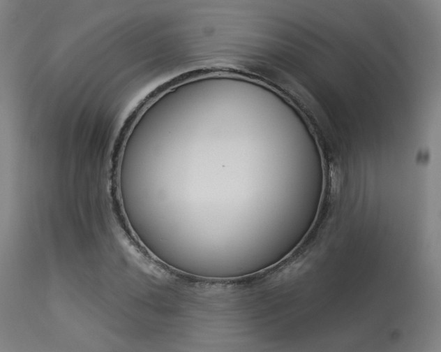 X0000113361020200909221154