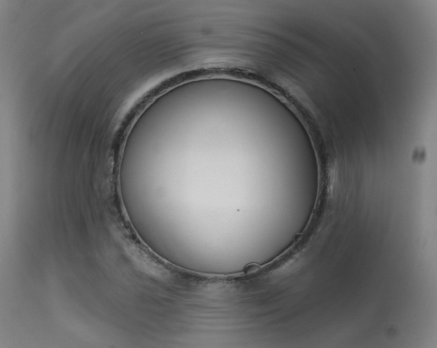 X0000113361021200909221154