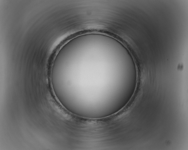 X0000113361022200909221154
