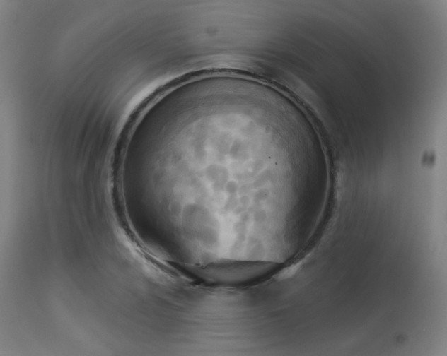 X0000113361024200909221154