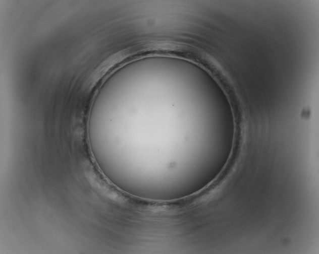 X0000113361025200909221154