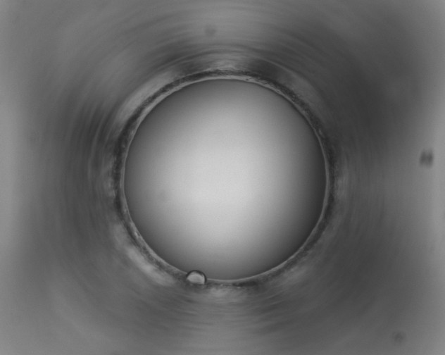 X0000113361026200909221154
