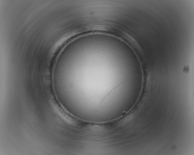 X0000113361027200909221154