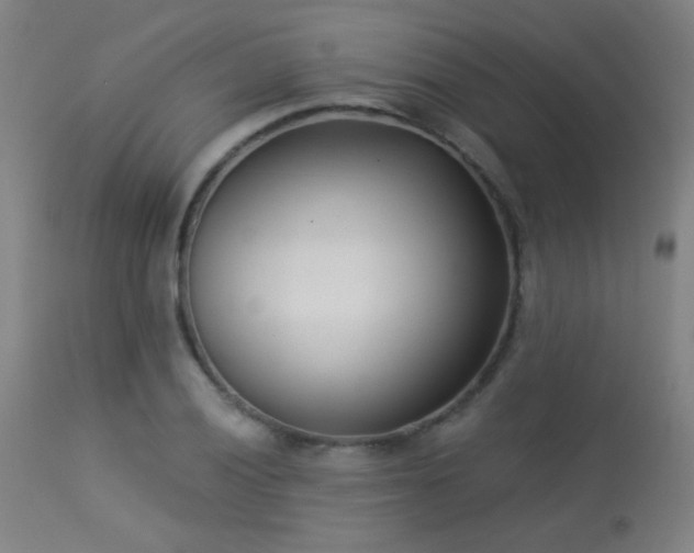X0000113361028200909221154