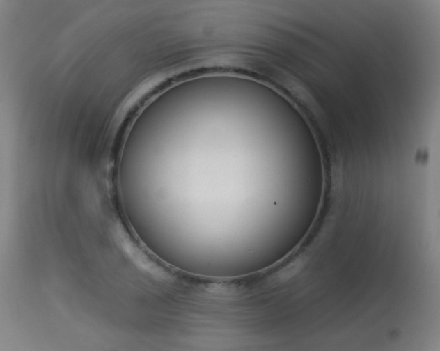 X0000113361029200909221154