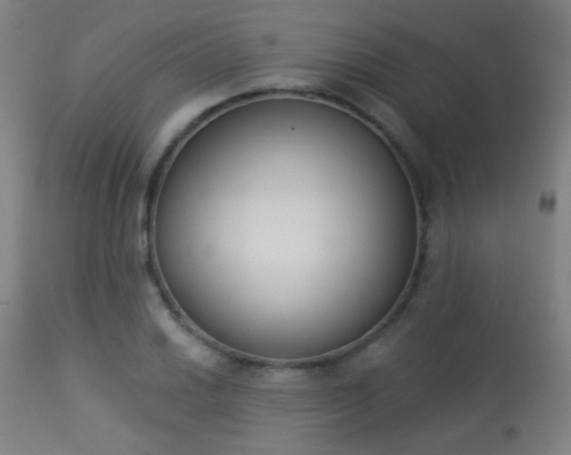 X0000113361030200909221154